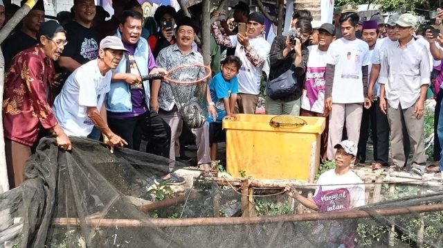 Maesyal Rasyid Panen Ikan Lele Bersama Warga Desa Gandaria