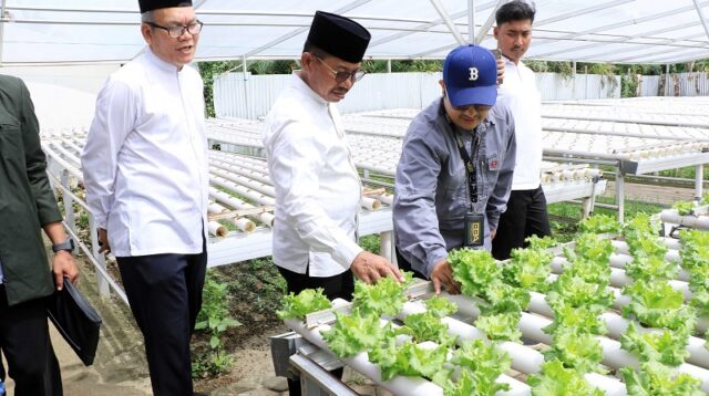 Walikota Tangerang Kunjungi Food Estate Edukatif di Cipondoh