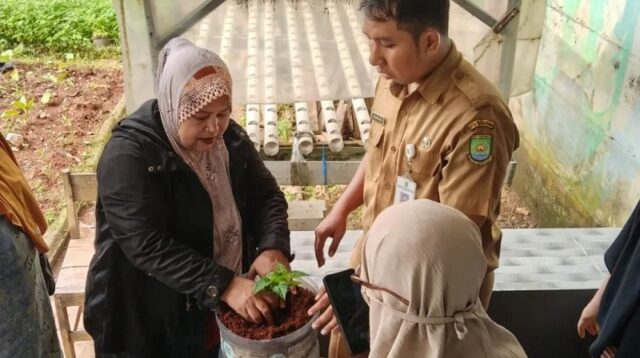 DKP Tangerang Dorong Kemandirian Pangan Lewat KWT