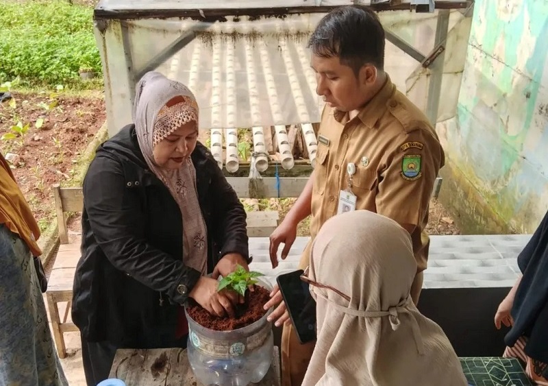DKP Tangerang Dorong Kemandirian Pangan Lewat KWT