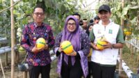 Wabup Tangerang Apresiasi Green House Anugerah Farm
