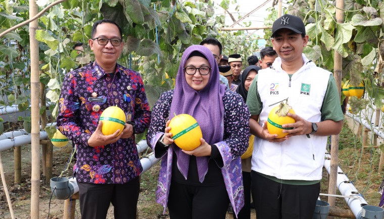 Wabup Tangerang Apresiasi Green House Anugerah Farm