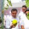 SEKDA PANEN MELON Sekda Tangerang Apresiasi Anak Muda Kembangkan Pertanian Modern