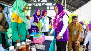 Posyandu Tangsel Dinilai, Wujudkan Pelayanan Enam Bidang SPM