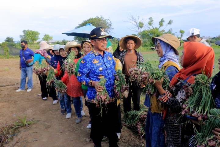 Walikota Tangerang Panen Bawang dan Melon Bersama Petani