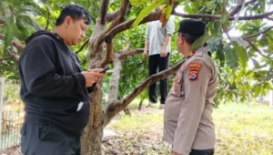 IMG-20260131-WA0073-1-768x576