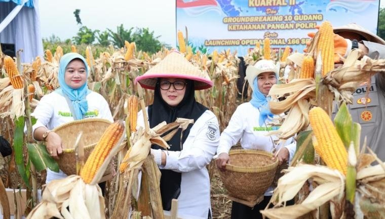 Wabup Tangerang Hadiri Panen Raya Jagung Bersama Polres Tangsel