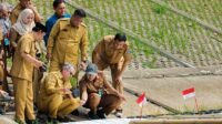 TANGSEL PADI APUNG Pemkot Tangsel Uji Coba Padi Apung di Tandon Ciater